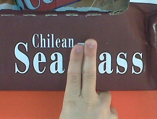 Chilean Sea Ass